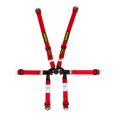 Schroth Formula 2x2 Harness